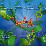 The application of reaction engineering to biocatalysis
