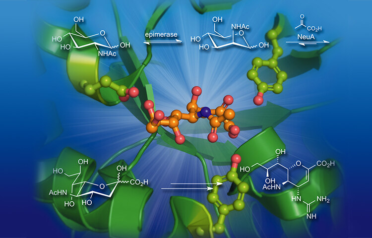 The application of reaction engineering to biocatalysis