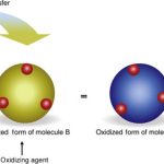Electron transfer In Oxidation And Reduction