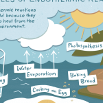 Endothermic reactions
