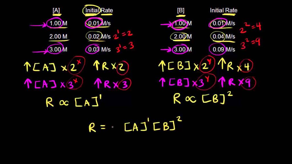 Examples of Reaction Rates