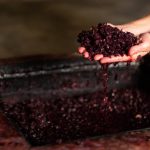Fermentation – Turning Grape Juice into Alcohol