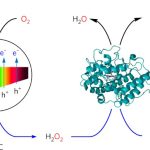 Flow reactors for aerobic oxidation reactions