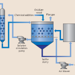 HSE primer on sulphur related chemicals & processes