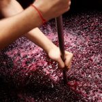 How is Wine Made?