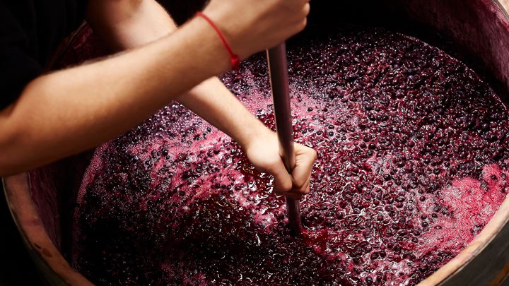 How is Wine Made?