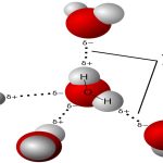 Hydrogen bonds