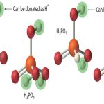Modelling Mixtures of Acids and Bases