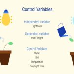 Observed and controlled variables
