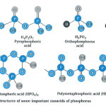 Oxoacids Of Phosphorus