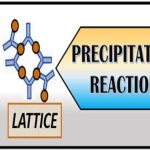 Precipitation Reaction