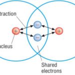 Properties of covalent compounds
