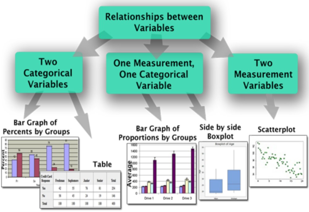 Relationships between variables