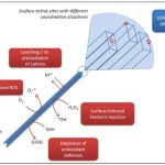 Various situations at the interface during reactions