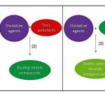 Aerobic oxidations in flow: opportunities for the fine chemicals and pharmaceuticals industries