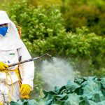 What are Pesticides?