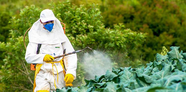 What are Pesticides?