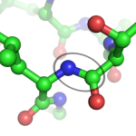 Peptide Bonding between Amino Acids