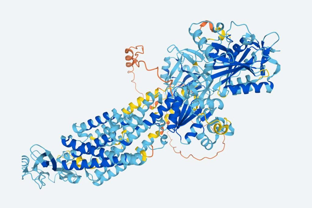 Protein Structure
