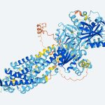 Protein Structure