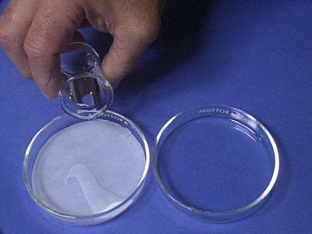 Photochemistry of Silver Salts