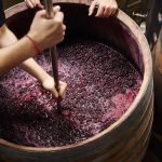 Wine Making