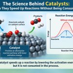 🧪 The Science Behind Catalysts: How They Speed Up Reactions Without Being Consumed